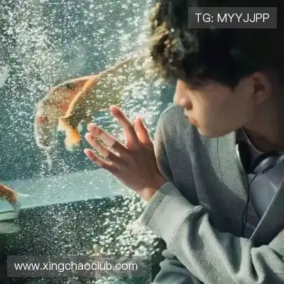 杨一舟